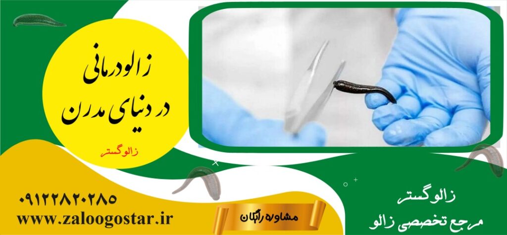 تاریخچه زالودرمانی