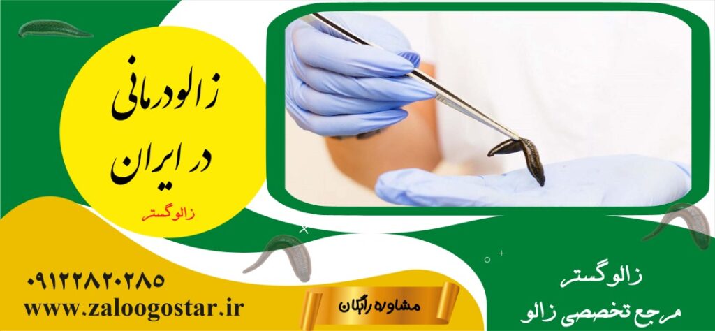 تاریخچه زالودرمانی