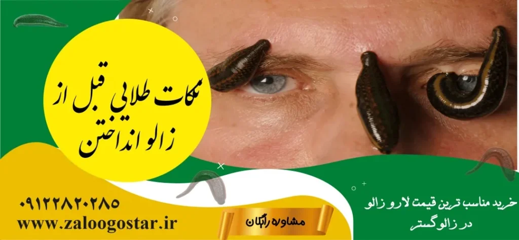 بهترین جای بدن برای زالو انداختن+3خطر حیاتی