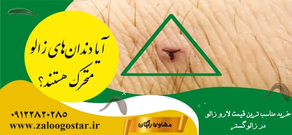 زالو چندتادندان دارد