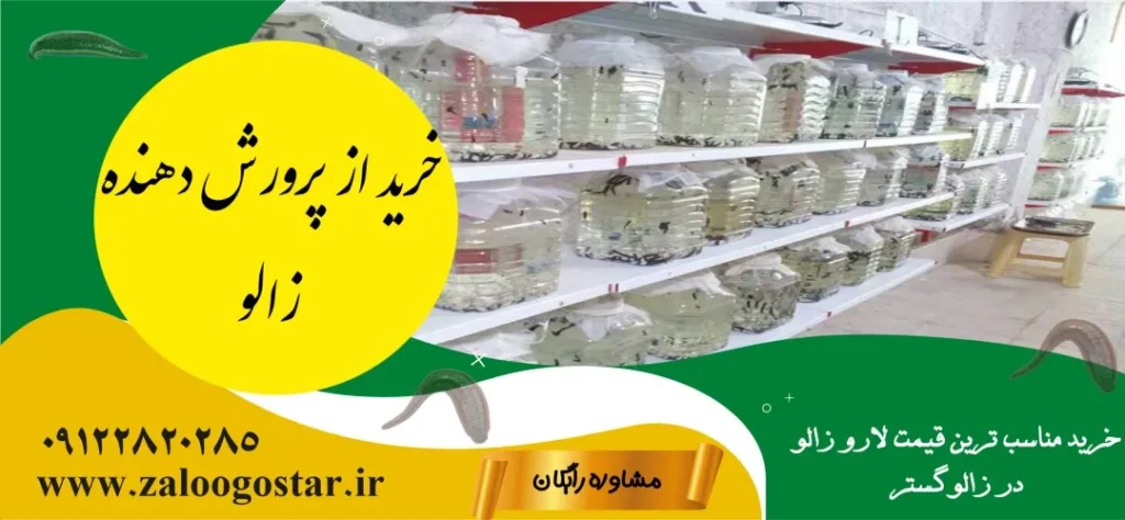 از کجا میشه زالو خرید