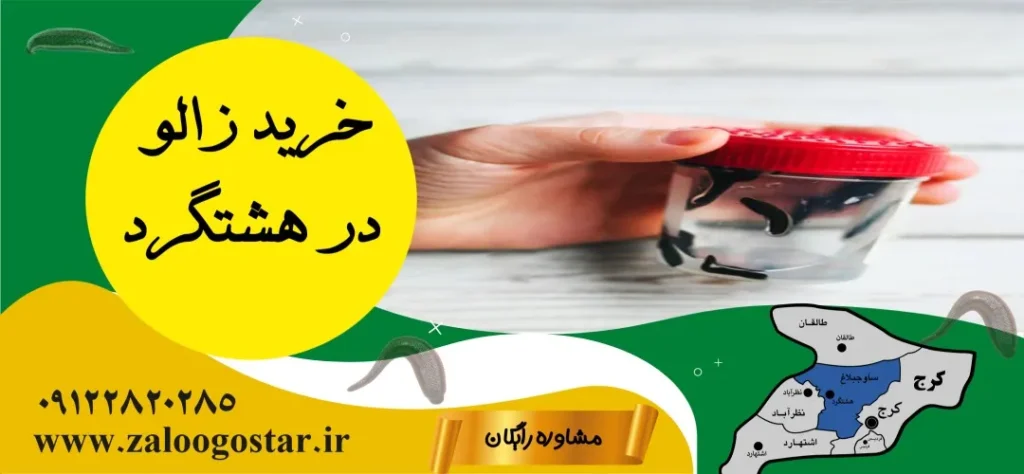 خرید زالو در هشتگرد