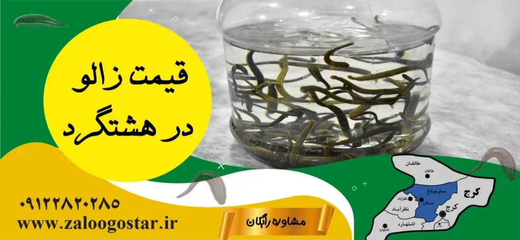 قیمت زالو در هشتگرد