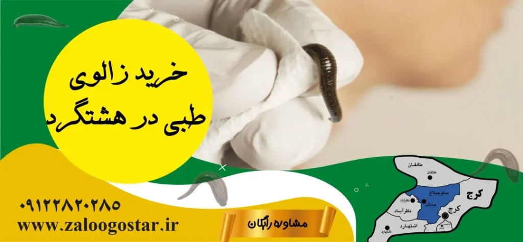 خرید زالو در هشتگرد