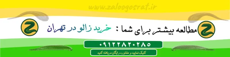 خرید زالو در تهران