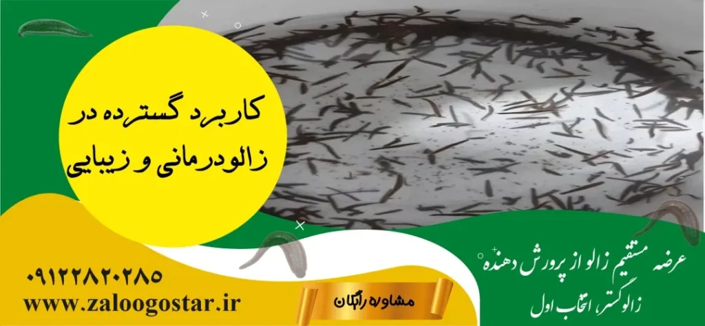 مزایای خرید لارو زالو برای پرورش خانگی و کلینیک‌های زیبایی