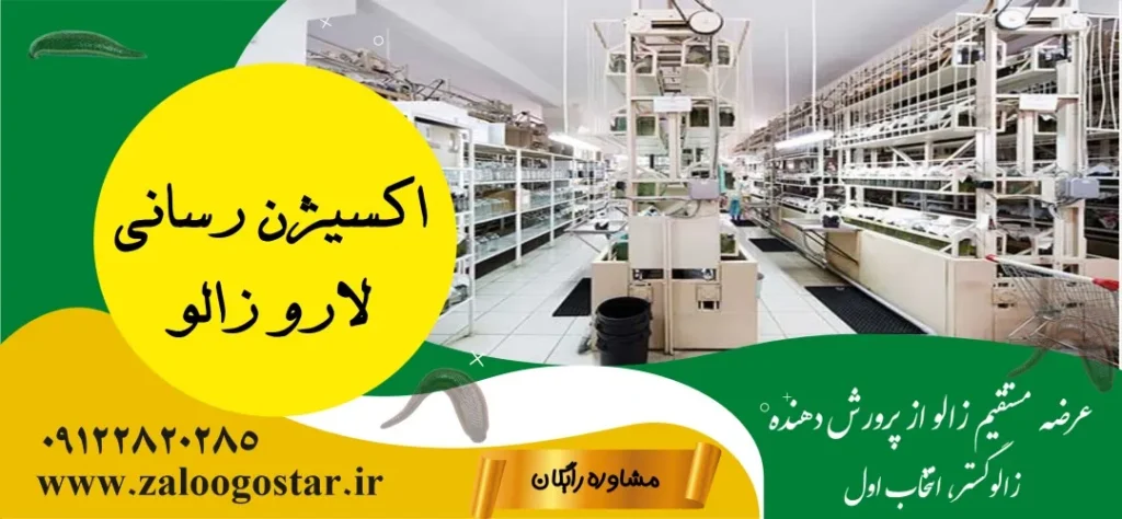 نگهداری لارو زالو 