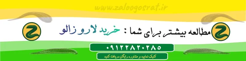 خرید لارو زالو