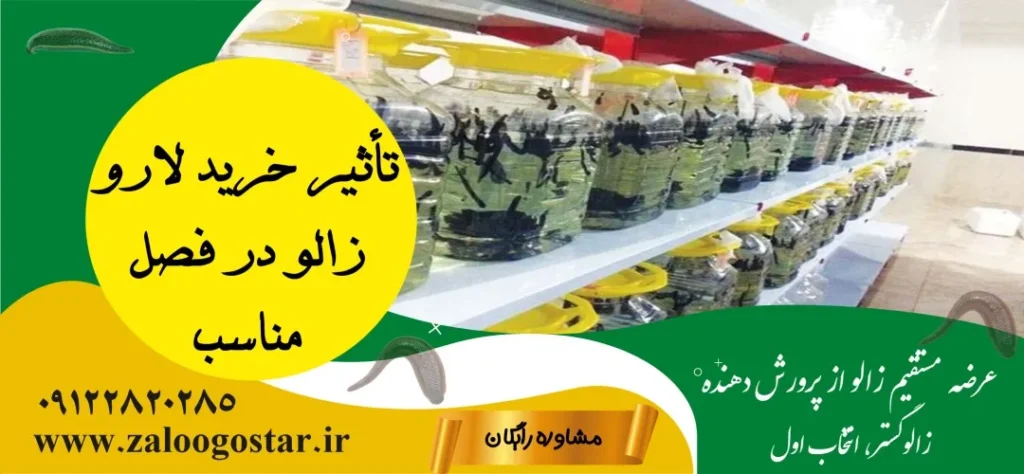 فصل مناسب خرید لارو زالو