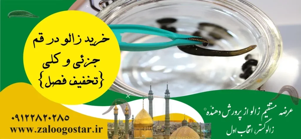 خرید زالو در قم