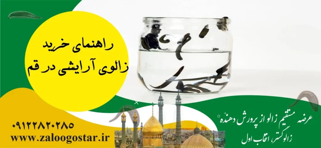 خرید زالو در قم