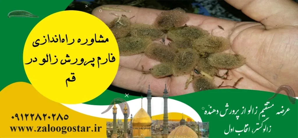 خرید زالو در قم