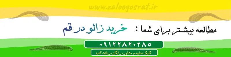 خرید زالو در قم