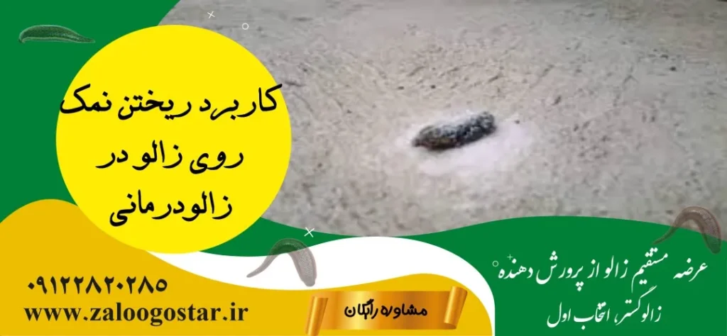 چرا روی زالو نمک میریزند