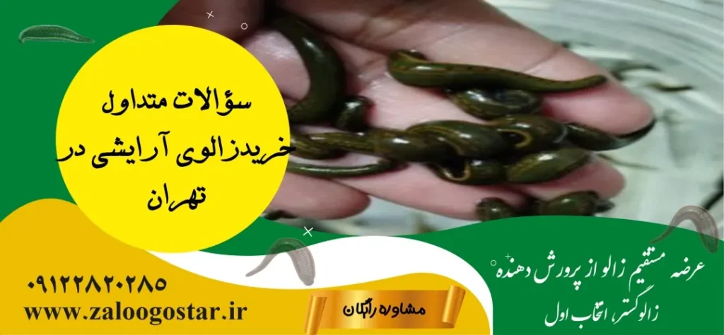 خرید زالوی آرایشی در تهران