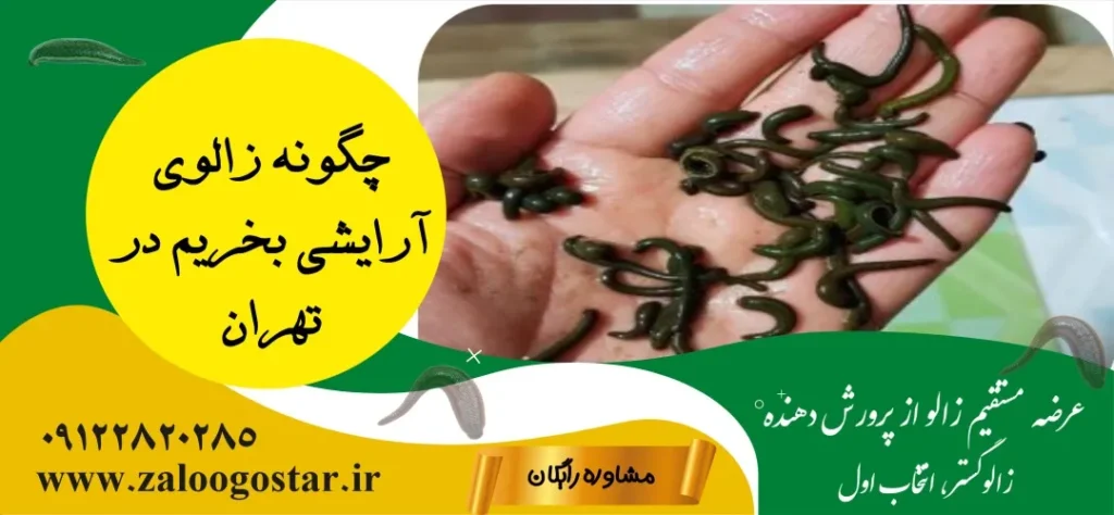 خرید زالوی آرایشی در تهران