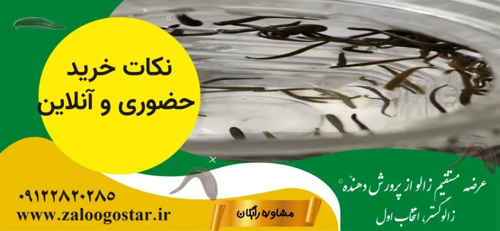 آموزش خرید زالو در تهران