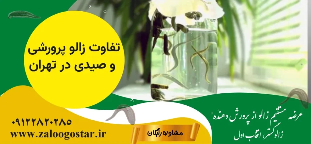 تفاوت زالو پرورشی و صیدی در تهران
