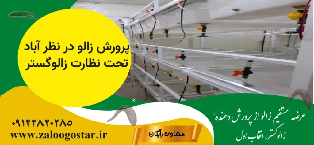 خرید زالو در نظرآباد