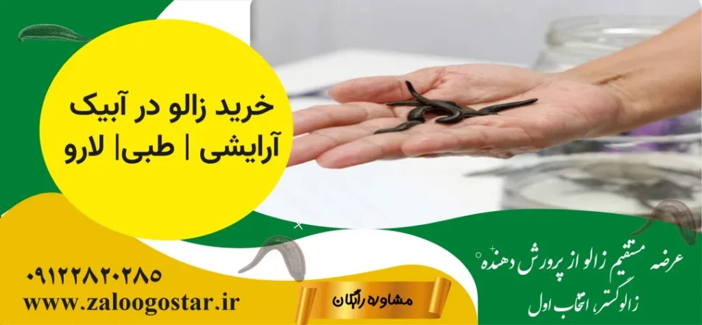 خرید زالو در آبیک |زالودرمانی در آبیک