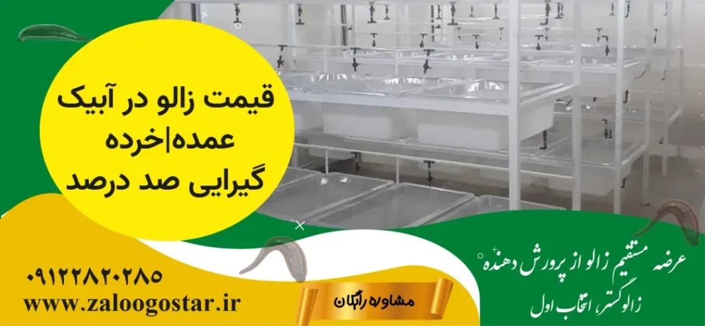 خرید زالو در آبیک |زالودرمانی در آبیک