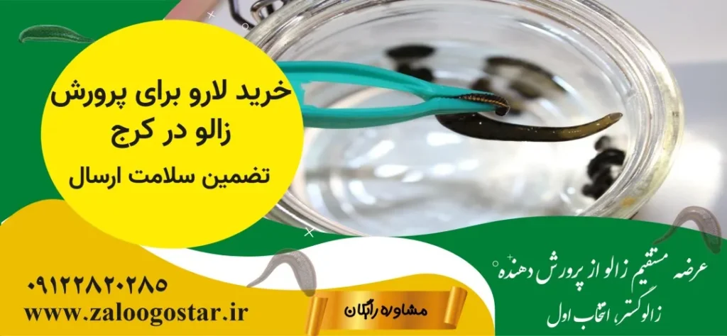 شرایط پرورش زالو در کرج