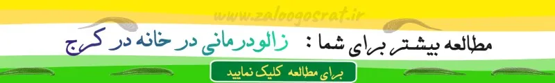 زالودرمانی در منزل کرج