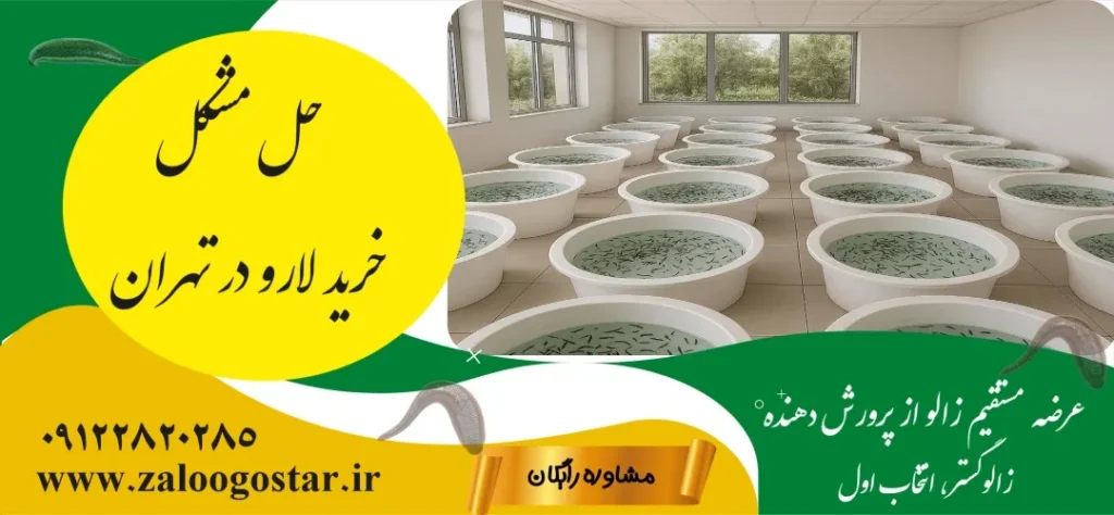 خرید زالو برای پرورش خانگی در تهران