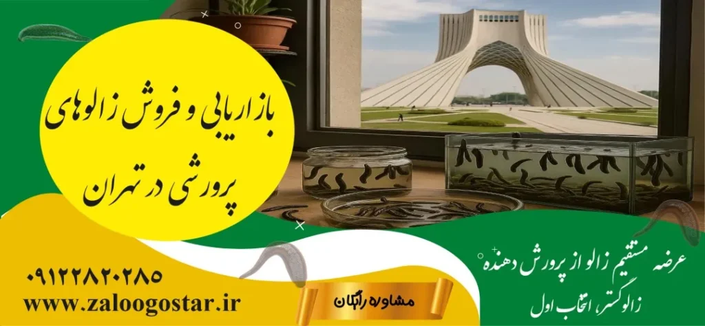 خرید زالو برای پرورش خانگی در تهران