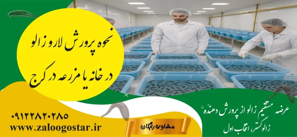 خرید لارو زالو در کرج