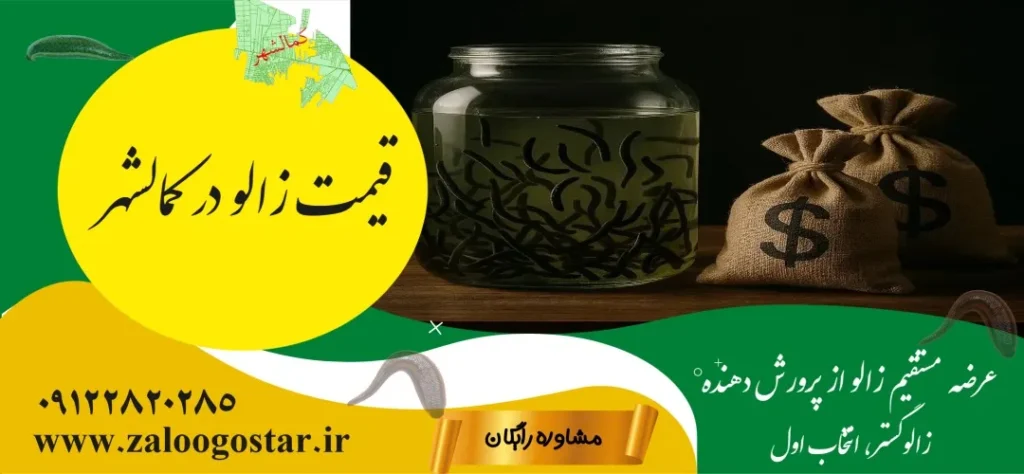قیمت زالو در کمالشهر