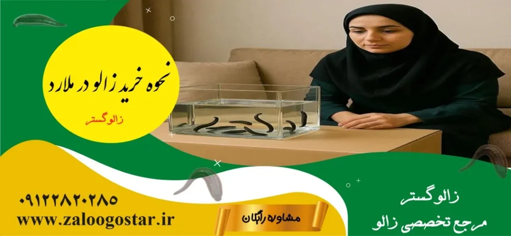 خرید زالو در ملارد