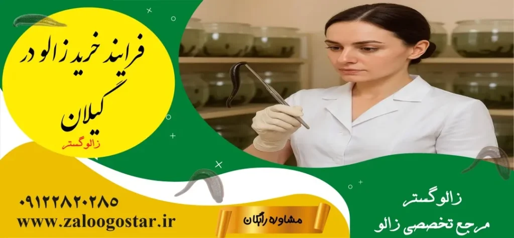 خرید زالو در گیلان