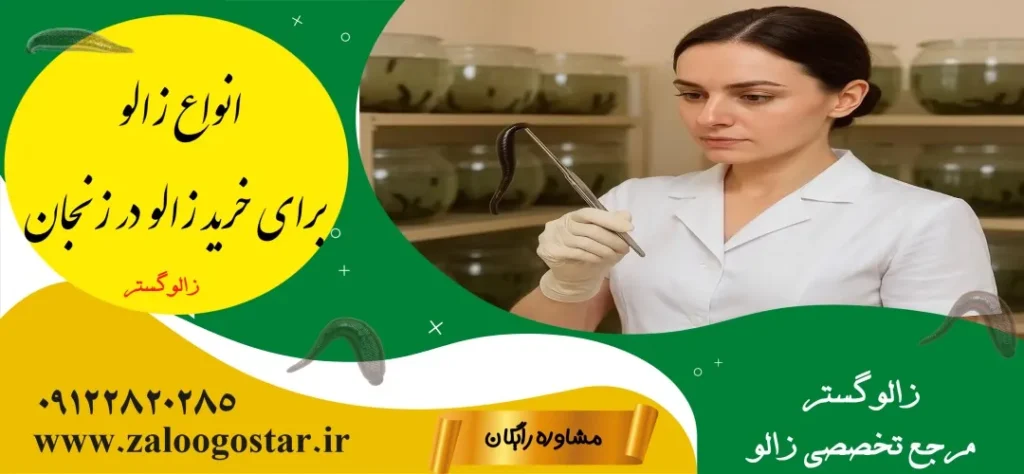 خرید زالو در زنجان