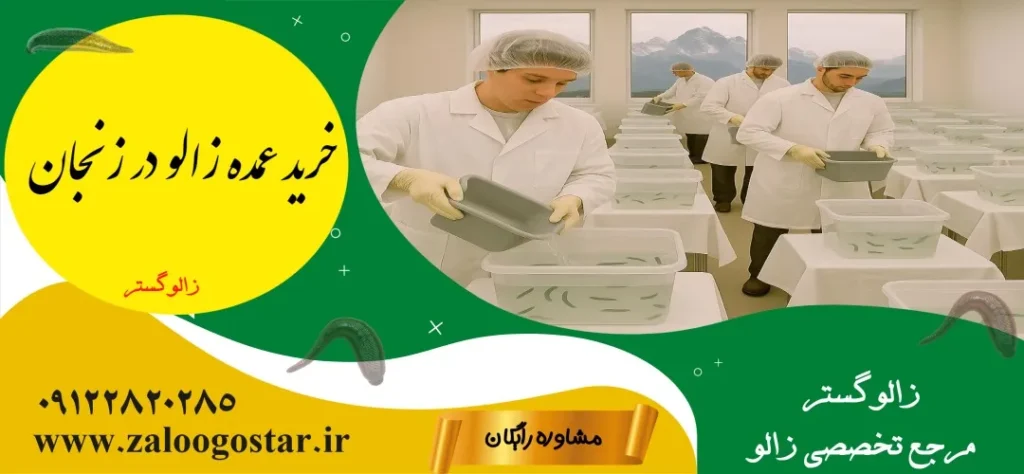 خرید زالو در زنجان