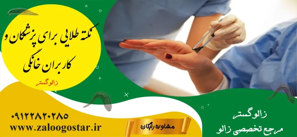 سر زالو کدام طرف است