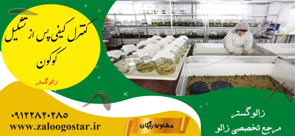 چرا کوکون ها پوچ میشوند