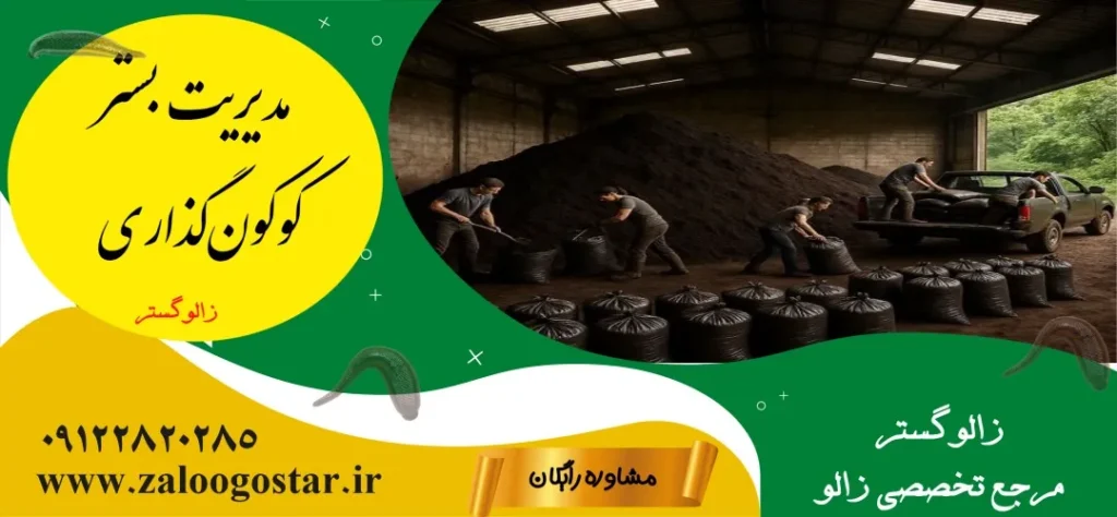 چرا کوکون ها پوچ میشوند