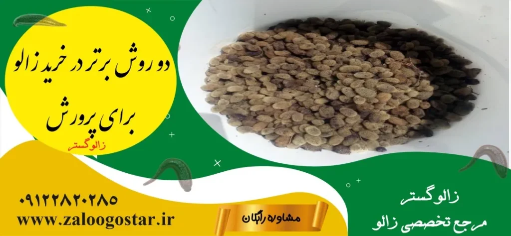 خرید زالو برای پرورش زالو