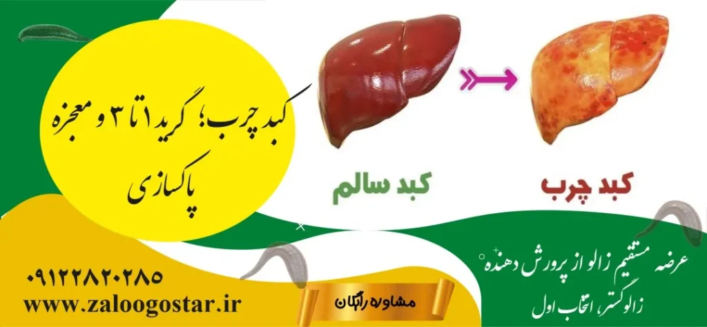 زالو درمانی برای غلظت خون و کبد چرب: از سیر تا پیاز درمان