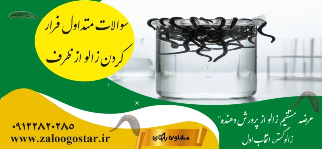 چگونه مانع فرار زالو از ظرف شویم؟ (راهنمای صفر تا صد ایزوله‌سازی فارم)