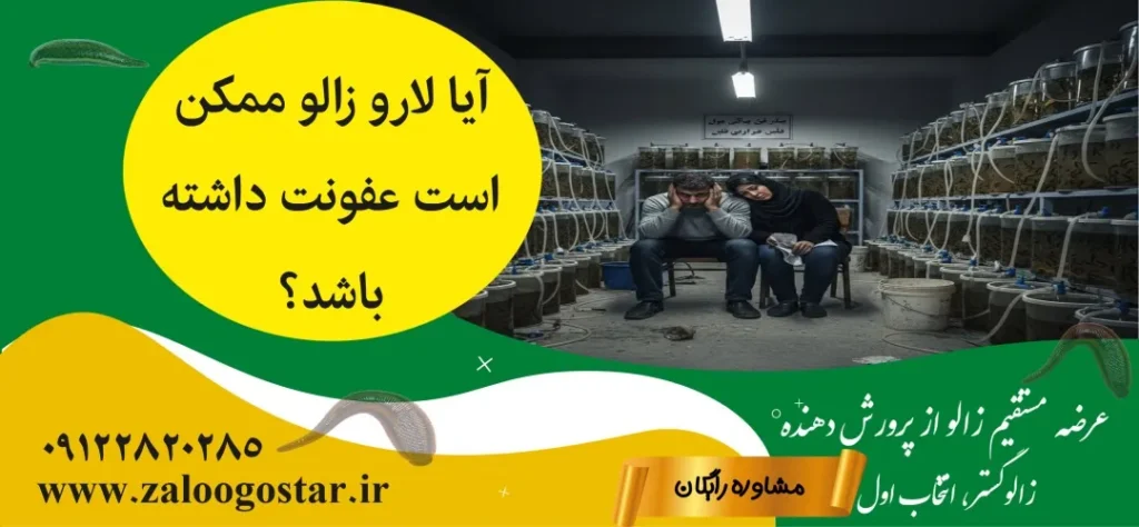 آیا لارو زالو ممکن است عفونت داشته باشد؟