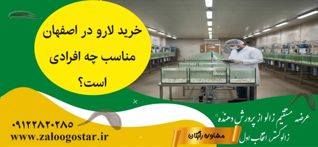 خرید لارو در اصفهان | راهنمای کامل قیمت، انتخاب و پرورش لارو زالو