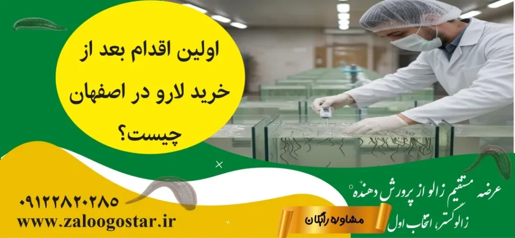 خرید لارو در اصفهان | راهنمای کامل قیمت، انتخاب و پرورش لارو زالو