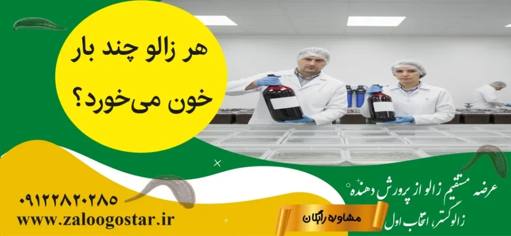 هر زالو چند بار خون میخورد؟ | بررسی علمی، تجربی و کاربردی