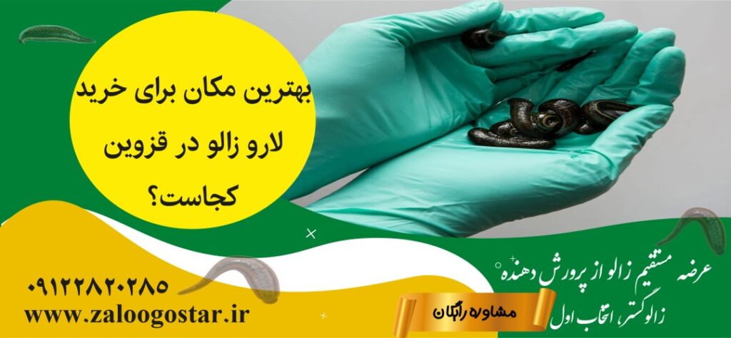 خرید لارو زالو در قزوین