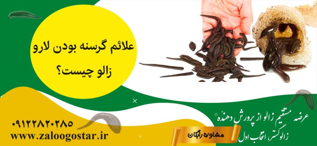 گرسنه بودن لارو زالو