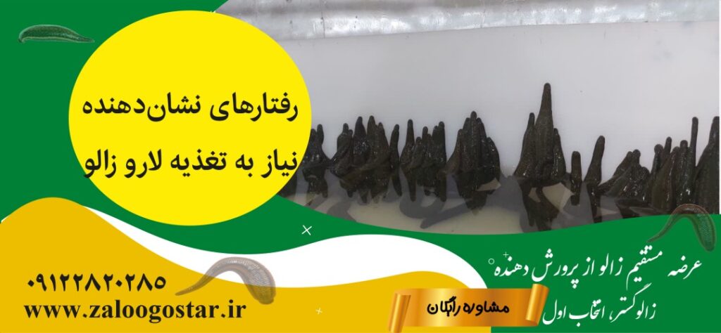 گرسنه بودن لارو زالو