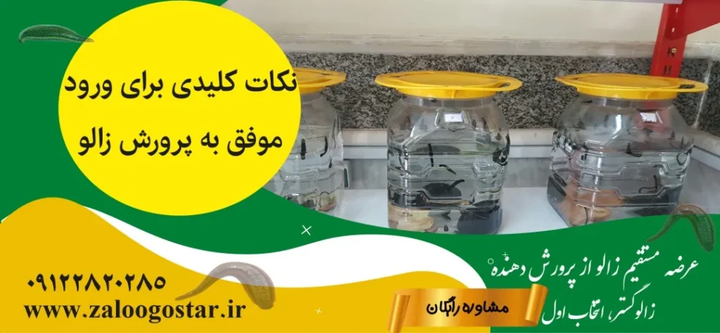 نظرات در مورد پرورش زالو