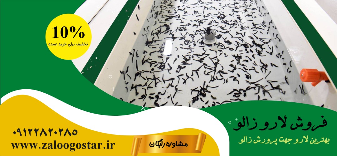 خرید لارو زالو